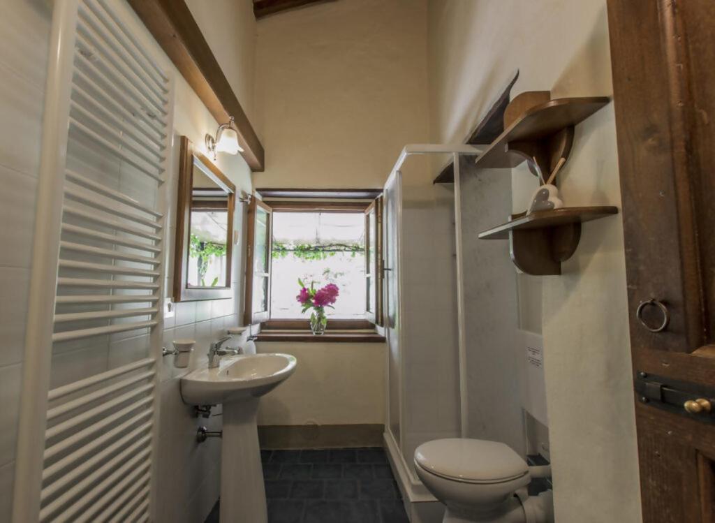 פופי Agriturismo Podere La Casaccia מראה חיצוני תמונה
