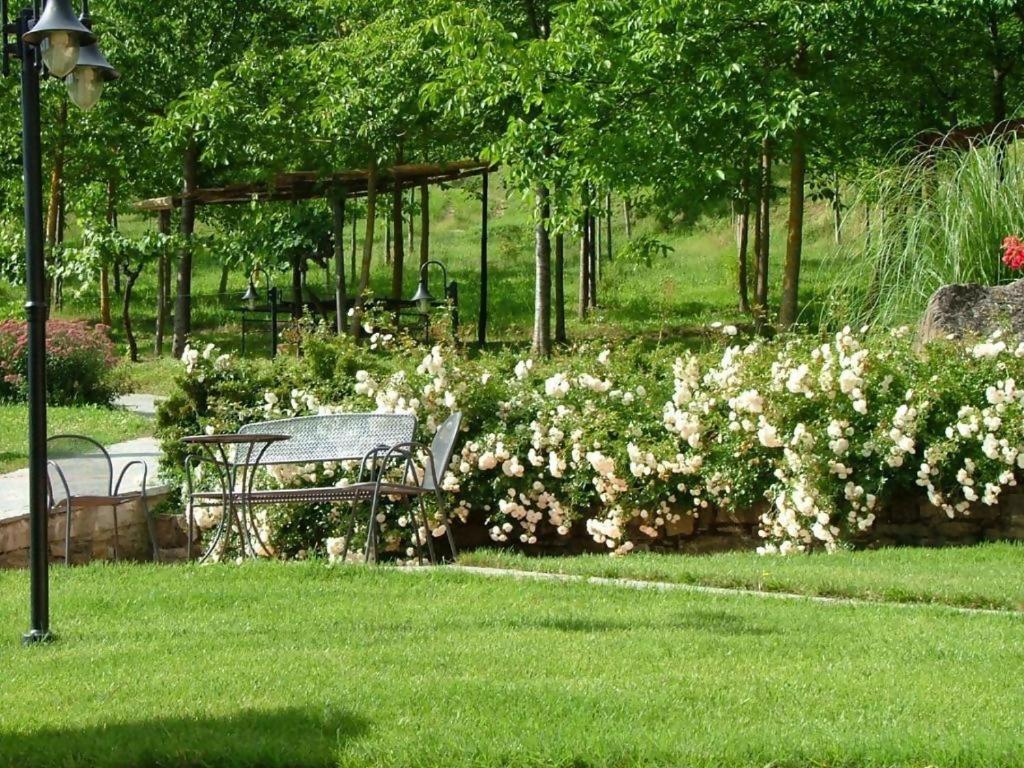 פופי Agriturismo Podere La Casaccia מראה חיצוני תמונה